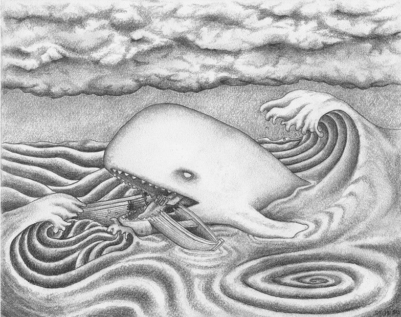 Whale, Dan Taylor 2013