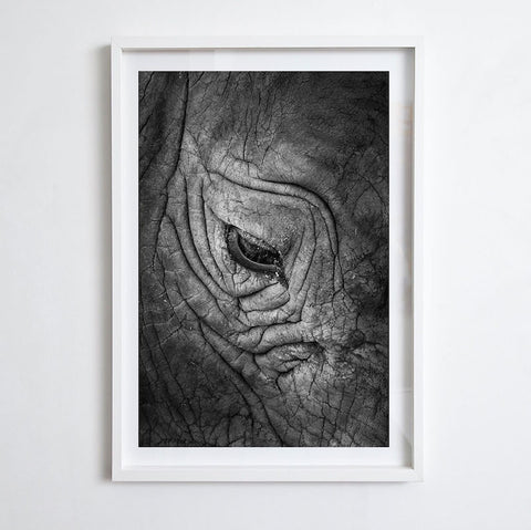Elephant Eye, 2013. Print by Greg Henderson