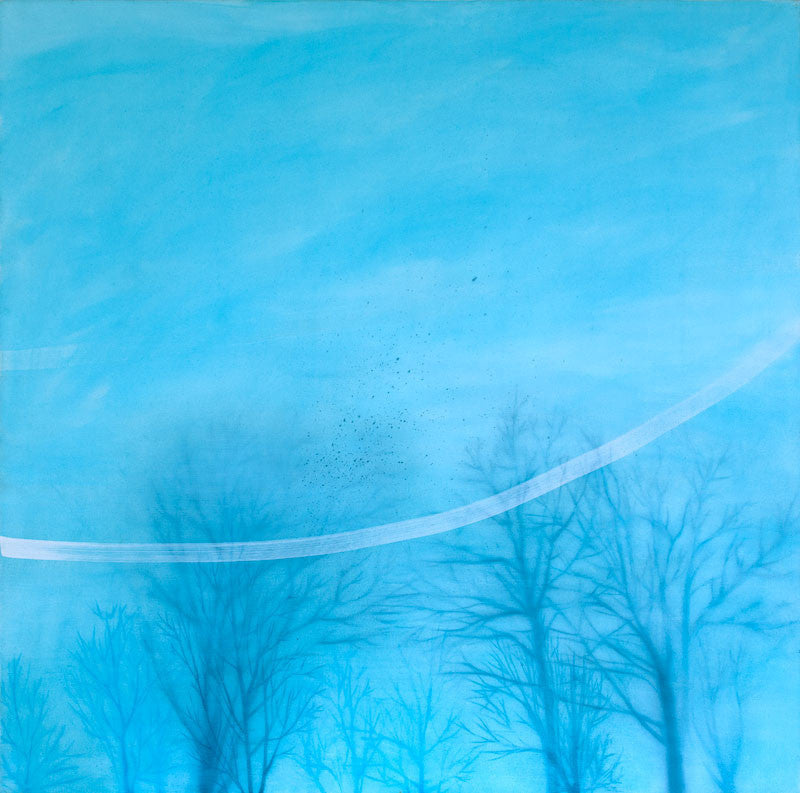 Flock, Rachel Ritchford 2008